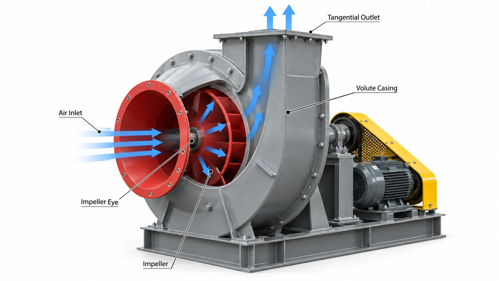 Centrifugal fan airflow diagram showing axial inlet radial impeller airflow volute collection and tangential discharge